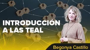 Introducción a las organizaciones TeaL. / Begonya Castillo